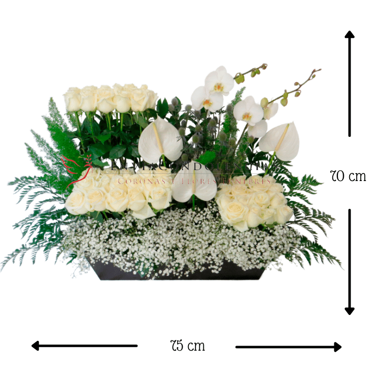 Arreglo fúnebre: Jardín Bellos Recuerdos - Imagen 2