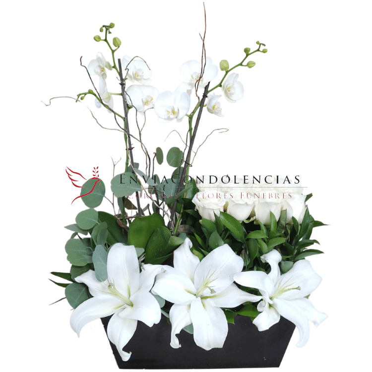 Jardín Blanca Ternura