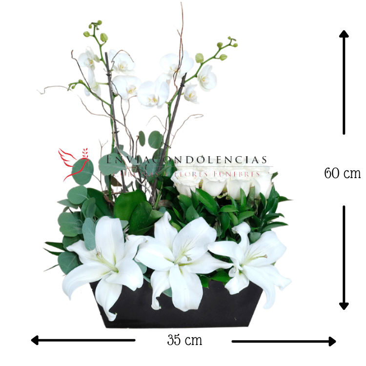 Jardín Blanca Ternura - Imagen 2