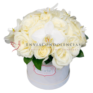 Caja Floral: Cielo de Golondrinas